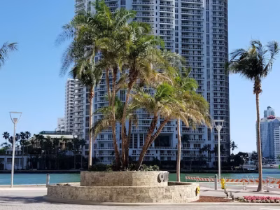 palm-trees-by-swimming-pool-city-against-clear-sky_1048944-8960927